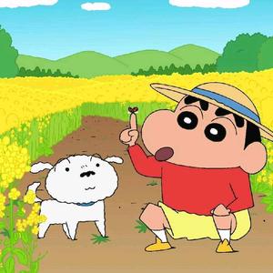 枫ooi头像