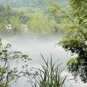 花钱如刘水头像