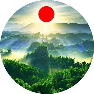 冬天的暖阳头像