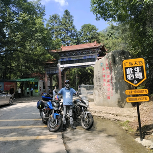 @幸運来林（单身）头像