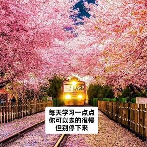 茉莉龙井头像