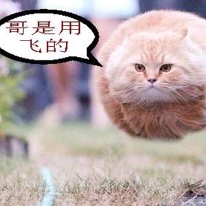 宇宙猫先生头像