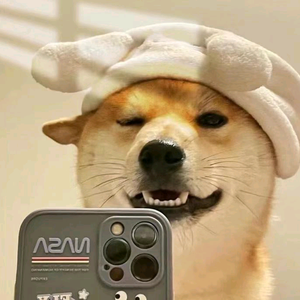 搞笑神评头像