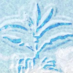 云叁游途头像