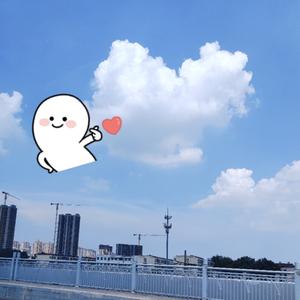 张张杂论头像