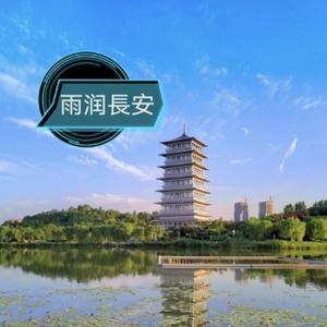 雨润西安