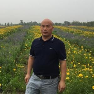 王亚迪头像