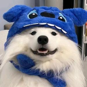 疯了阿七头像