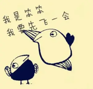 笨鸟闯天下头像