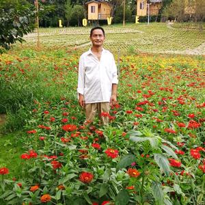 吉祥龙头像