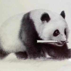 虎牙兰寿头像