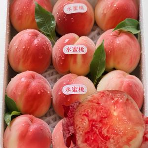 泡泡奶糖头像