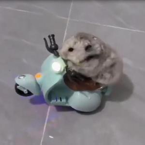 欧耶头像