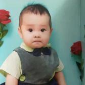 小柠檬昊头像