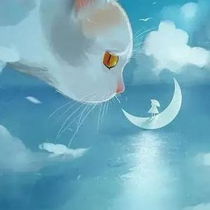 蹦哒橙子头像