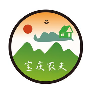 宝庆农夫头像