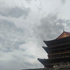 华华吖头像