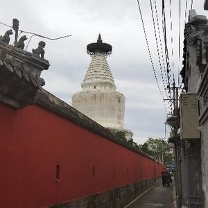 小楠逛北京头像