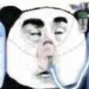 小马躺平看世界头像