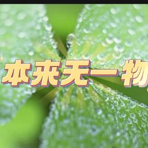 本来无一物头像