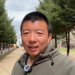 山场大猫头像