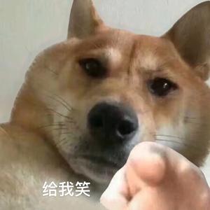 不笑不用花钱头像