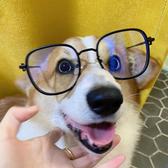 一只史迪头像