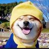 SANHE叁合头像