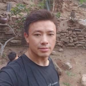 囍提宝码头像