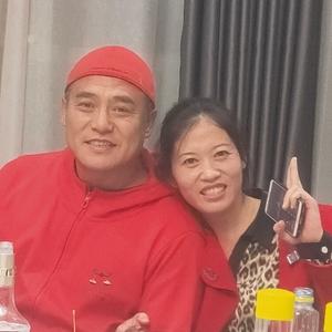 白毛猪头像