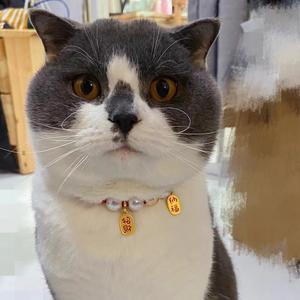 guanchun12头像