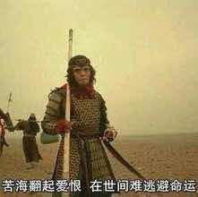 华夏收藏头像