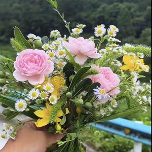 无花果头像