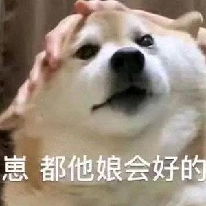 我与春风i头像
