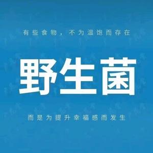 松茸，虫草头像