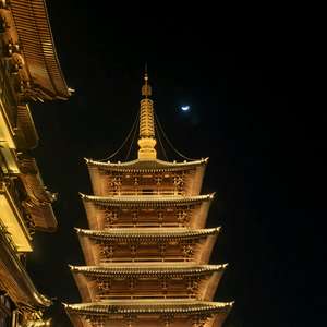 （东莞电信宽带）头像