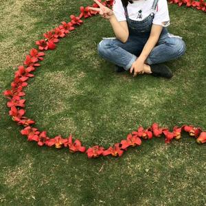 如你3r1H头像