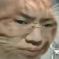 我不是GG暴头像