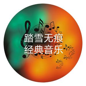 踏雪无痕经典音乐头像