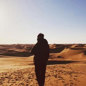 番茄905642160953256 头像