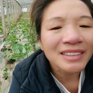 兰姐蔬菜头像
