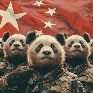 此生无悔入华夏头像