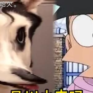 海枯石烂头像