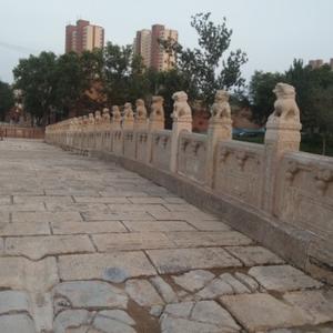 上进的葡萄RUi头像