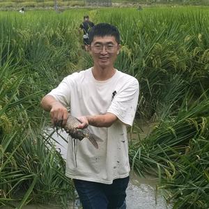 电工PLC学徒头像