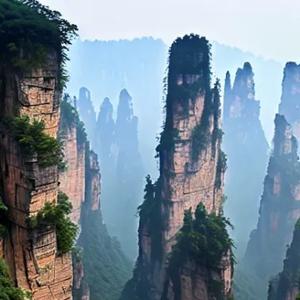 随性自由的小鱼VQ头像
