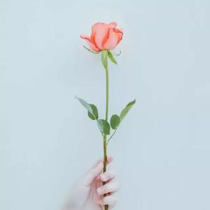 壹人无馨头像