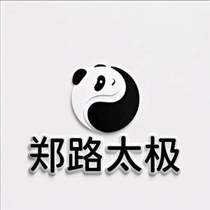 郑路太极头像