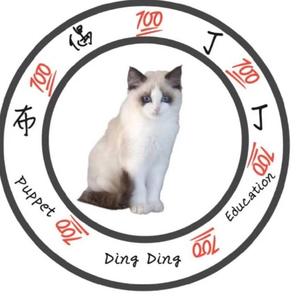 布偶丁丁7头像