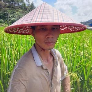 吴阿哥vlog头像